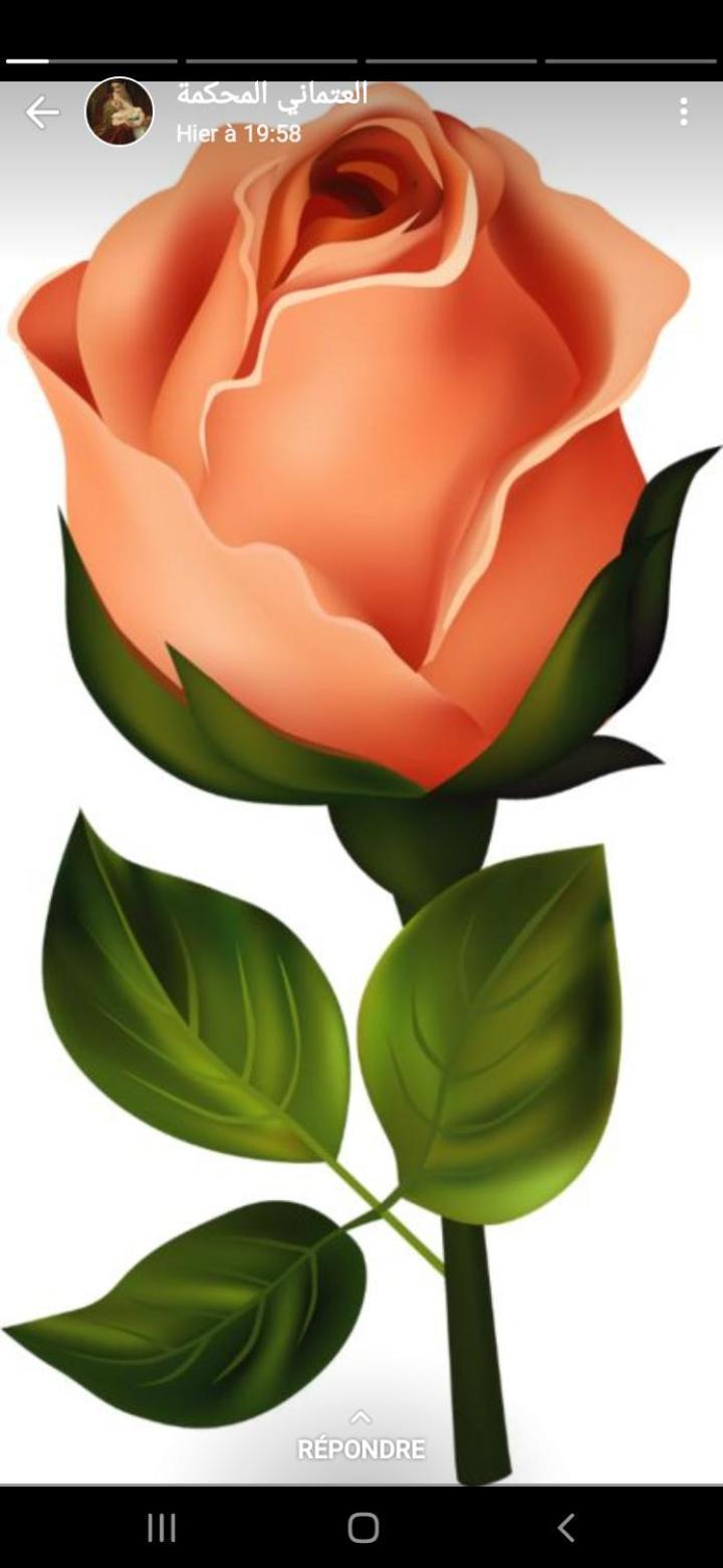 La Rose Blanche Zaouia Ben Smine Exterior foto